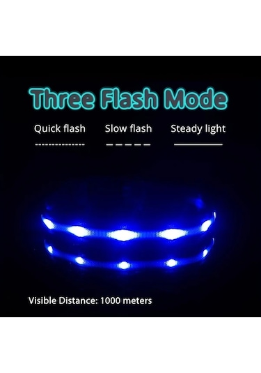 Honeybeeshop 1000 Metre Görüş Mesafeli Şarj Edilebilir Gece Yürüyüşleri İçin Kedi Köpek Tasması Blue M Renk Ve Beden Seçenekleri Altın