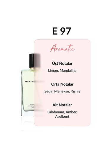 David Walker E97 Bavari Erkek Parfüm EDP 50 ML