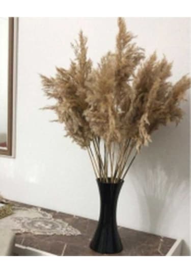 Pampas 10 Adet