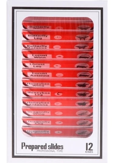 Ece Mikroskop Slayt Preparat Seti Başlangıç 12'li Böcekler