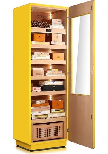 Raching Elektronik Puro Dolabı Sarı-siyah Coh275a