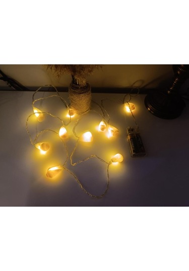 Doğal Deniz Kabuklu Pilli Dekoratif Led Işık Yılbaşı Süsü 2 Metre