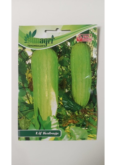 Bykurt Sunagri Lif Kabağı Tohumu - 5 Adet Doğal Lif Üretimi, Cilt Bakımı Ve Organik Temizlik 5 Adet