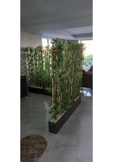 260 Cm Saksıda 130 Cm 38 Lı Bambu Seperatör Yeşil