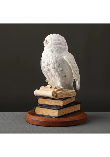 Kitap Üzerinde Beyaz Kar Baykuşu Hedwig Biblosu