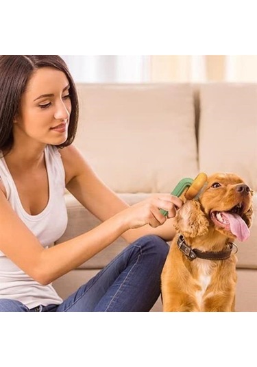 Büro Ev Evcil Hayvanı İçin Yeşil Plastik Çok Amaçlı Kedi Köpek Fırçası