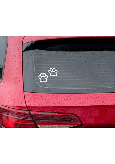 Bk Home Patiler Tasarımlı Beyaz Araç Sticker-1