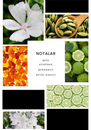 Ixora B376 Eclat Kadın Parfüm EDP 50 ML