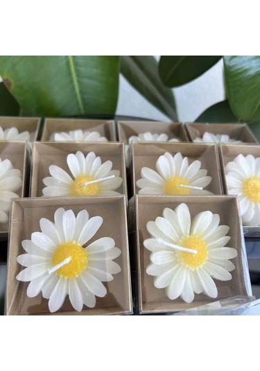 Bernamiofficial Offcial 24 Adet Papatya Mum Hediyelik Nişan, Nikah, Söz, Doğumgünü, Doğum