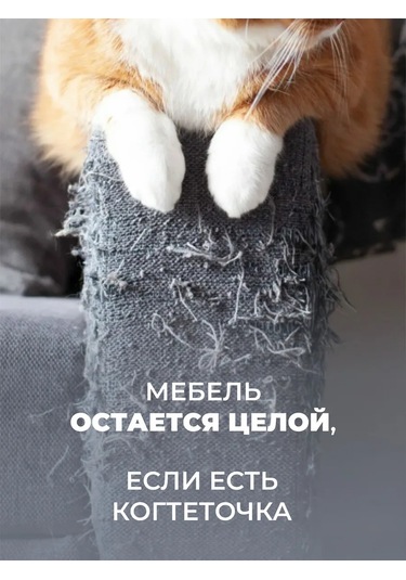 Udzin Kedi İçin Karton Yataklı Tırmalama Direği 93551484