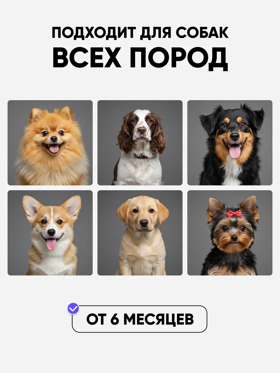 Harly Pantolol İçeren Hipoalerjenik Köpek Şampuanı 325216323