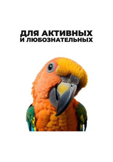 Xindoker Eğlenceli Papağan Oyuncakları, 10 Adet Noel Baba Tasarımı, Güvenli Çiğneme Ve Oyun Deneyimi