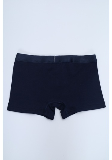 Toontoy Erkek Çocuk Baskılı Düz Desenli 4lü Paket Boxer Çok Renkli