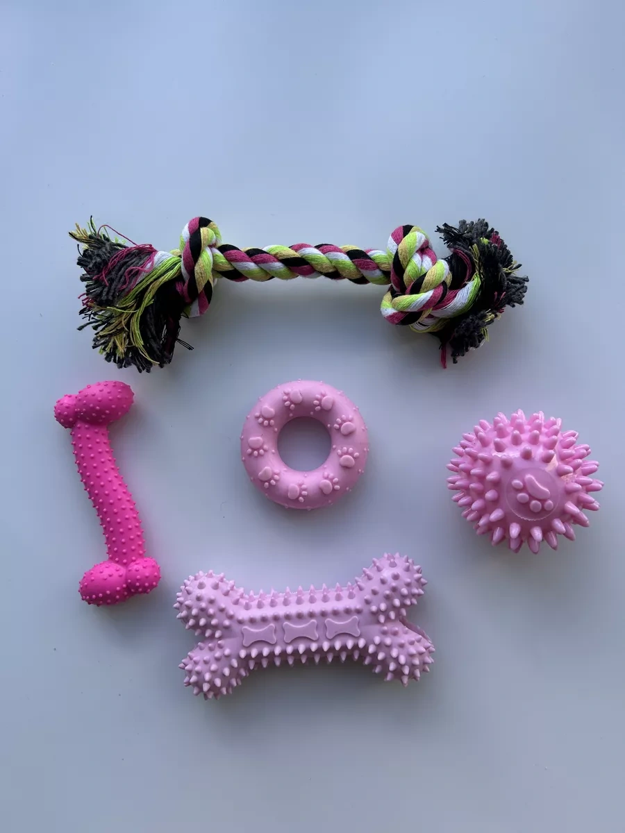 Toysfordogs 5 Parçalı Lastik Köpek Oyuncakları Seti 240710074