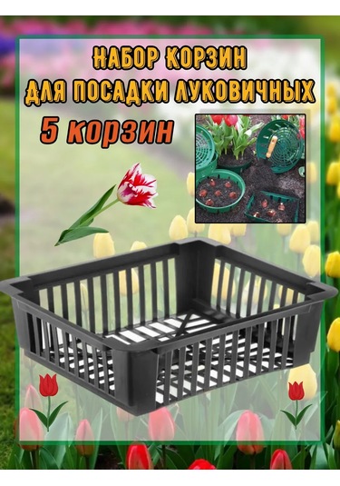 Domdacaogorod Soğanlı Bitkiler Ve Kelebek Yetiştirme Sepeti 263098583