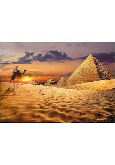 Educa 1000 Parça Çöldeki Deve - 19643 - Camel In The Desert