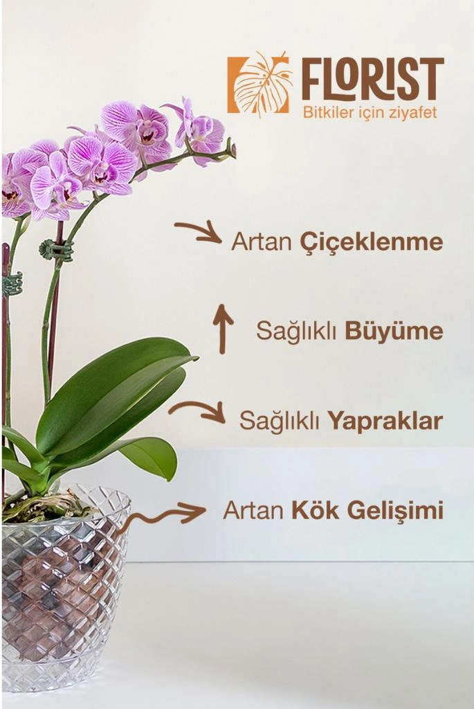 Konsantre Orkide Besini 200 G
