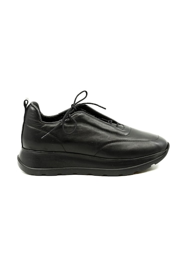 Dexter Tp22126-61 Çok Renkli