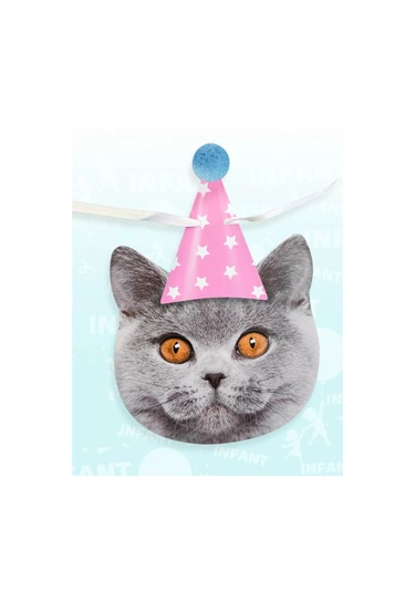 Infant Doğum Günü İçinşapkalı Kedili Bayraklı Işık Zinciri 177976919 Diğer