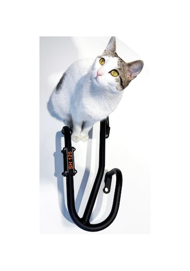 Honda Sh 125 Egzoz Koruma Demiri