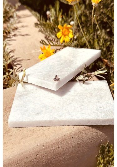 Star Sıra Yıldız Samanyolu Tasarım Zirkon Taşlı Şık Rose Gold Renk Çelik Piercing Tragus Helix