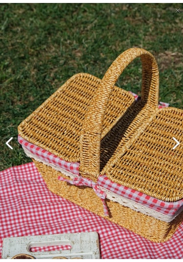 Sepetçibaba Adelya - Piknik Sepeti Plastik Hasır Görüümlü - Frs20