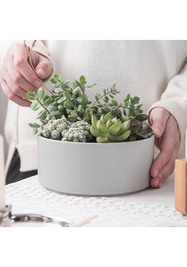 Suofeng Yeşil Ahşap Ayaklı Orta Boy Sukulent Ve Hidroponik Bitki Seramik Saksı