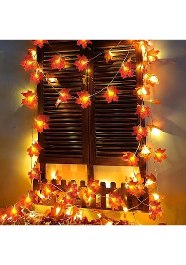 Şükran Günü Dekorasyonu Aydınlatır Sonbahar Çelenk Akçaağaç Yaprağı Fenerler Kapalı Tatil S Aile Partisi Cadılar Led Işık 56671465 Diğer