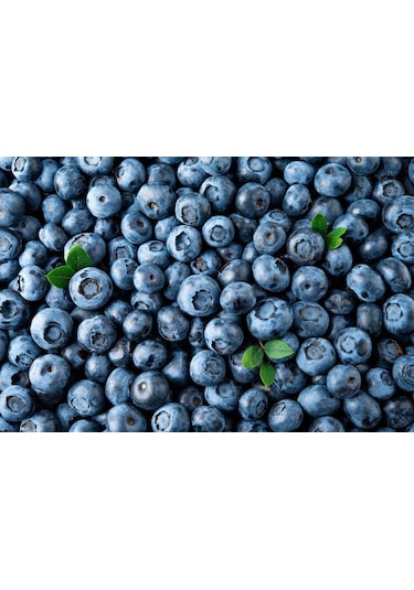 Bahçev2 Yaşında Tüplü Yaban Mersini Fidanı