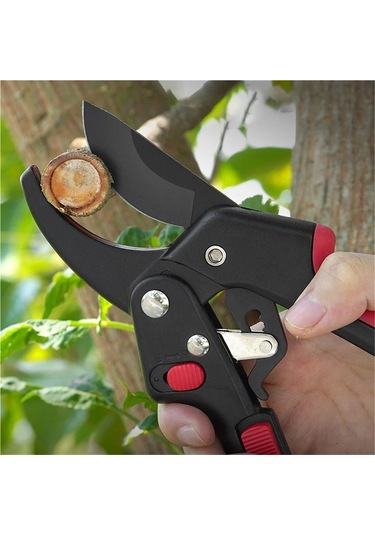 Jialan Budama Makası Bahçe Aletleri Sk5 Çelik Makas Bahçe Tesisi