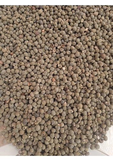 Bamya Tohumu Yerli 500 Gr İlaçsız- Yenilebilir 1. Kalite Elenmiş Yeni Mahsül