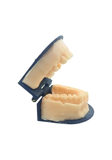 Barışhan Medikal Silikon Çene Diş Dikiş Modeli Ortodontik Alt Üst Çene Periodontal Sütür Eğitim Modeli-2