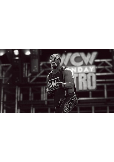 WWE 2K24 Standard Edition PS4 Oyun