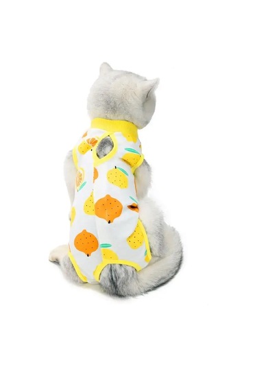 Best Golden Monkey Kediler İçin Ameliyat Sonrası Örtü 95680511