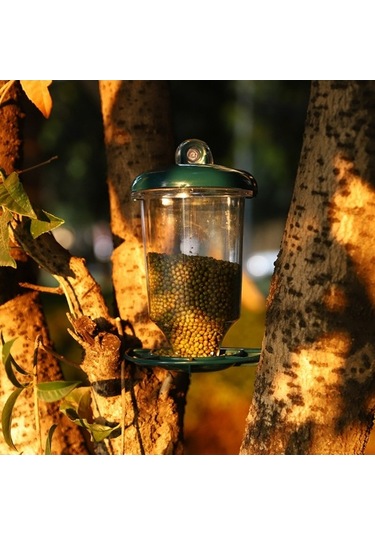 Pazly Şeffaf Açık Hava Kuş Yemliği, Pencere Asılı Sinek Kuşu Bahçe Yemliği