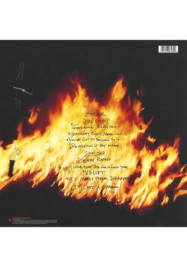 Pantera Reinventing The Steel / Plak