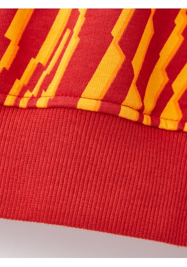 Gsstore Galatasaray Çocuk Hoodie C252110 Kırmızı
