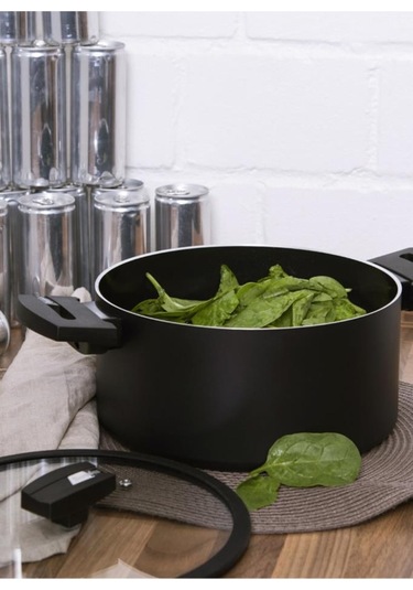 Berndes 442052 B.Green Induction Tencere 24 CM