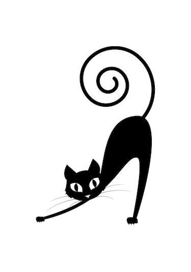 Folyo Sticker Kedi 100cm Uzunluk Karışık Renkli