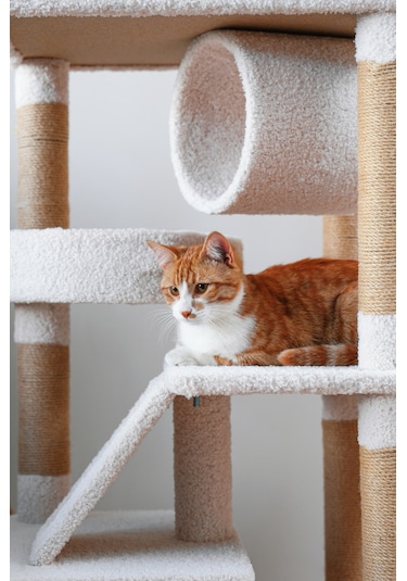 Kuara Bella Kedi Ağacı 3 Katlı Tırmalama Direği Yatak ve Oyuncaklı