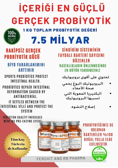 Feroxit Kafes Kuşları Ve Kanatlılar İçin İçeriği En İyi Kuş Probiyotik 80 G