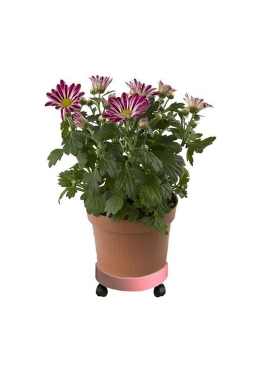 Evrensel Yuvarlak Tekerlekler Pot Tepsi Kolay Hareketli Bitki Pot Tepsi Bahçe Plakası Plastik Stand Beyaz