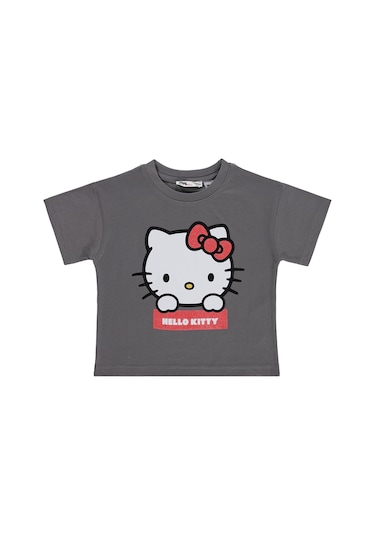 Hello Kitty 2-5 Yaş Tişört - Gri Çok Renkli