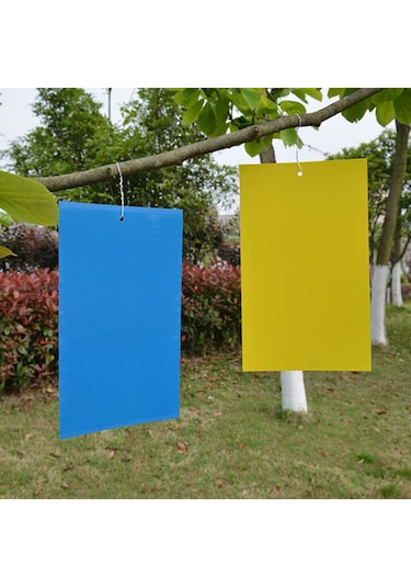 Homyl 10 Adet Yapışkan Tuzaklar Tutkal Uçan Böcek Mavi