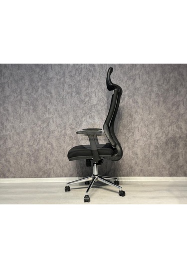 Eden Fileli Üst Düzey Yönetici Koltuğu