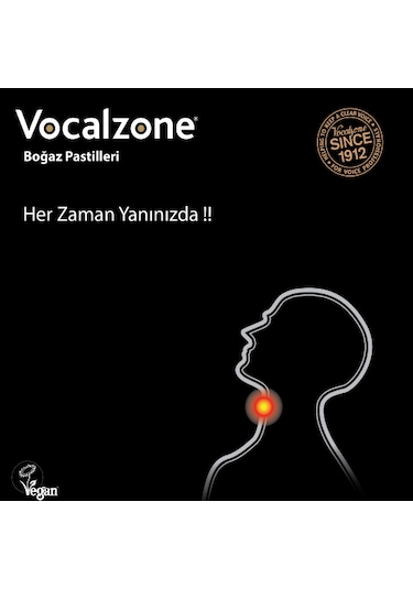 Vocalzone Klasik 12 Pastil