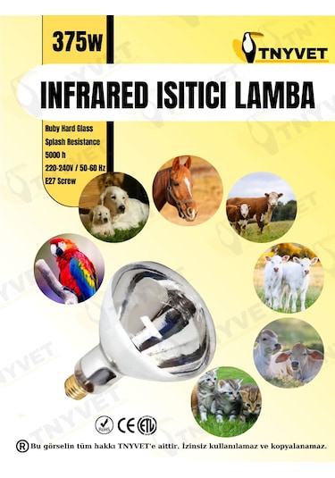 Infrared Isıtıcı Lamba 375 Watt
