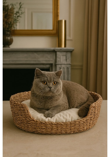 Dekoratif Hasır Kedi Köpek Yatağı Sepet 50cmx40cmx20cm
