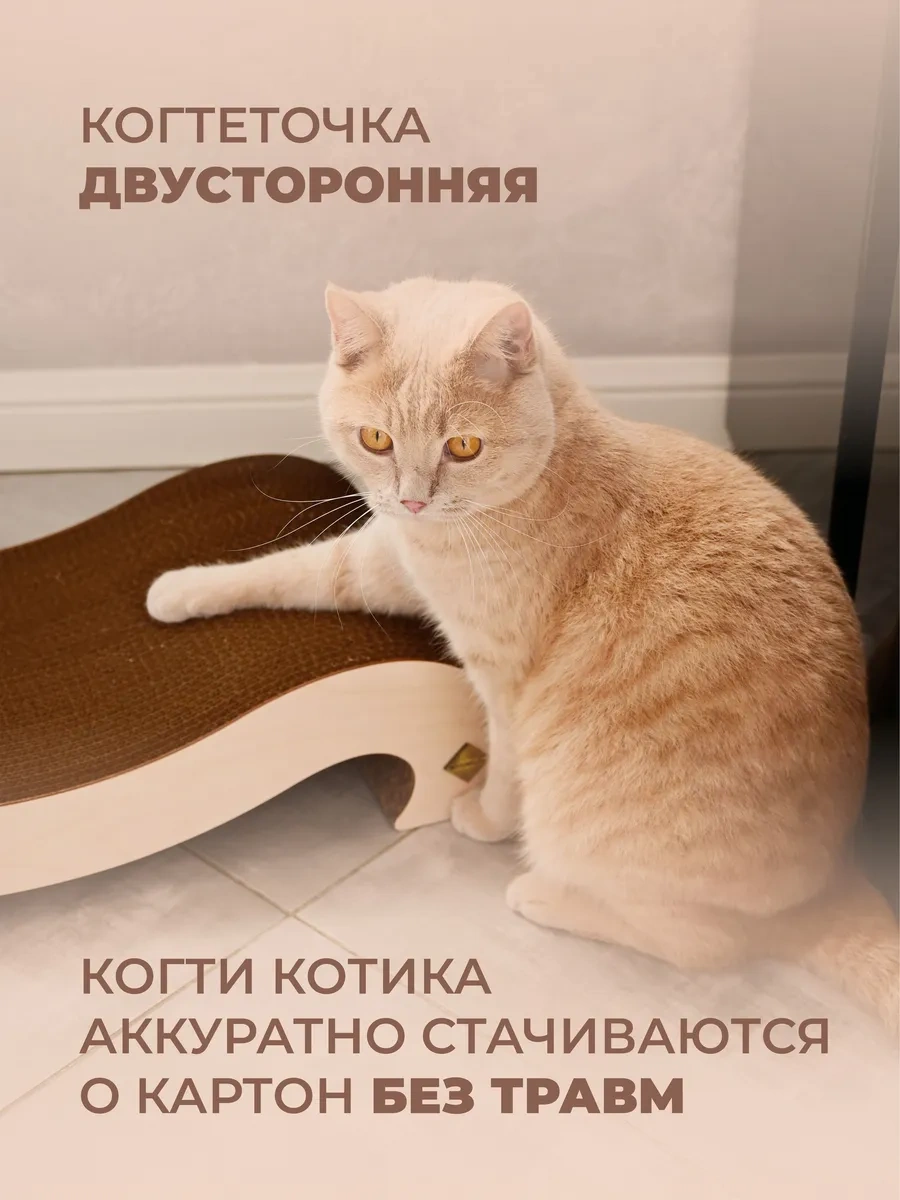 Udzin Kedi İçin Karton Yataklı Tırmalama Direği 155548266