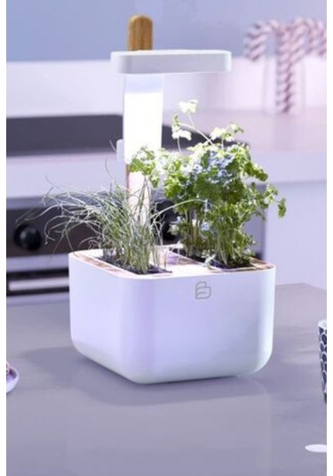 Veritable Botaneo Indoor Akıllı Iç Mekân Bitki Yetiştirme Sistemi, Beyaz Hobi Bahçesi